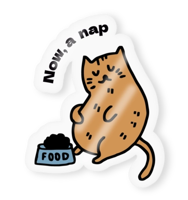 Autocolantes transparentes  