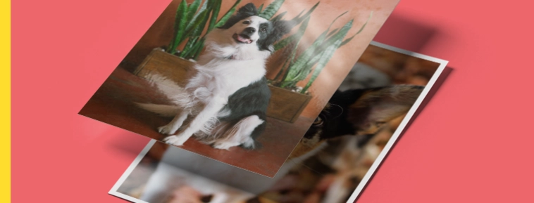 Revelação de fotos clássica